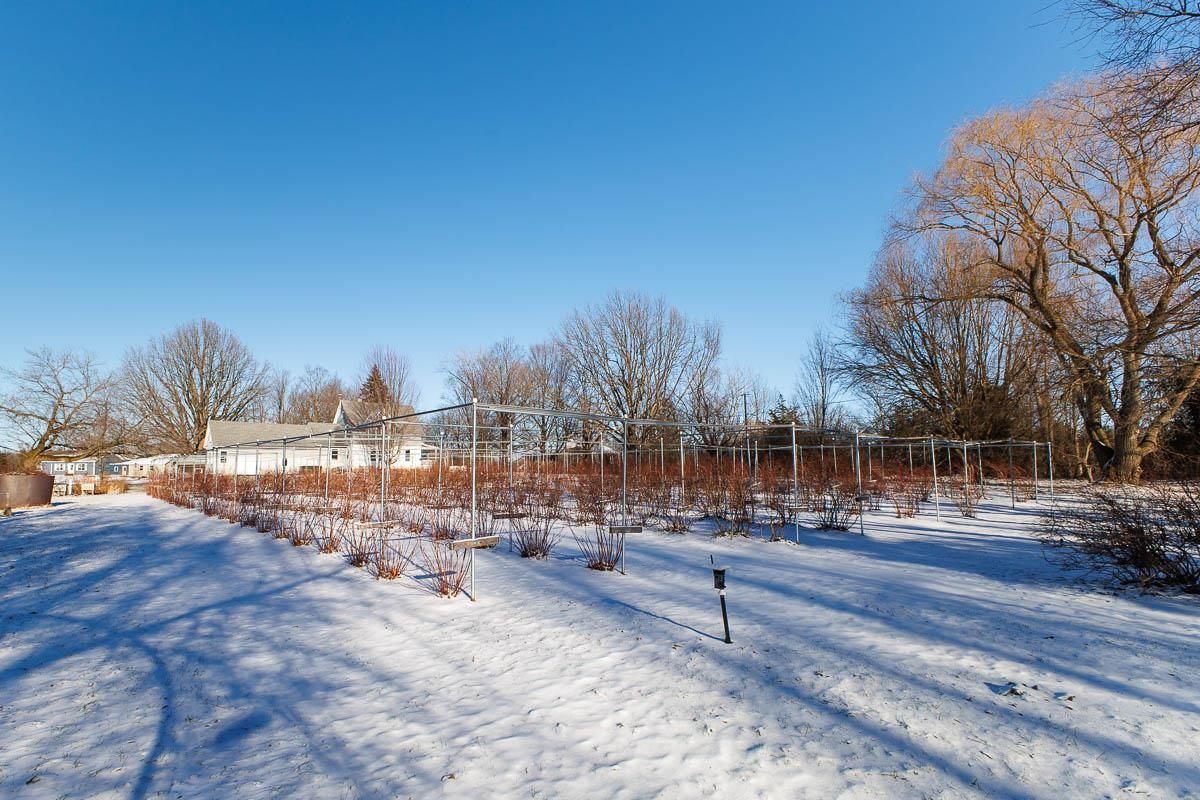 63 Adams School Road Grand Isle, VT 05458 - Photo 48 of 57