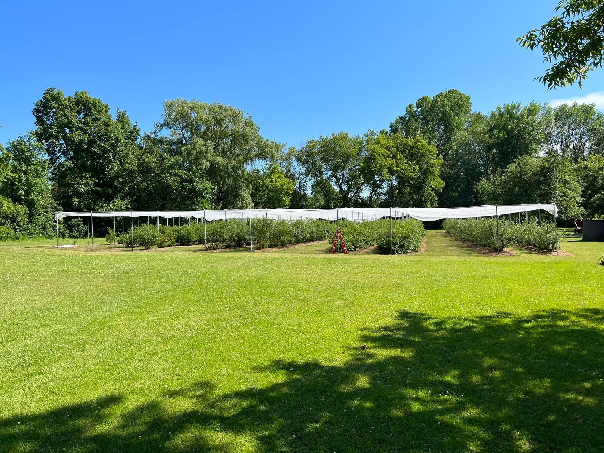 63 Adams School Road Grand Isle, VT 05458 - Photo 5 of 57