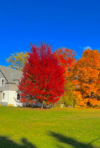 $559,000 | 63 Adams School Road, Grand Isle, VT 05458