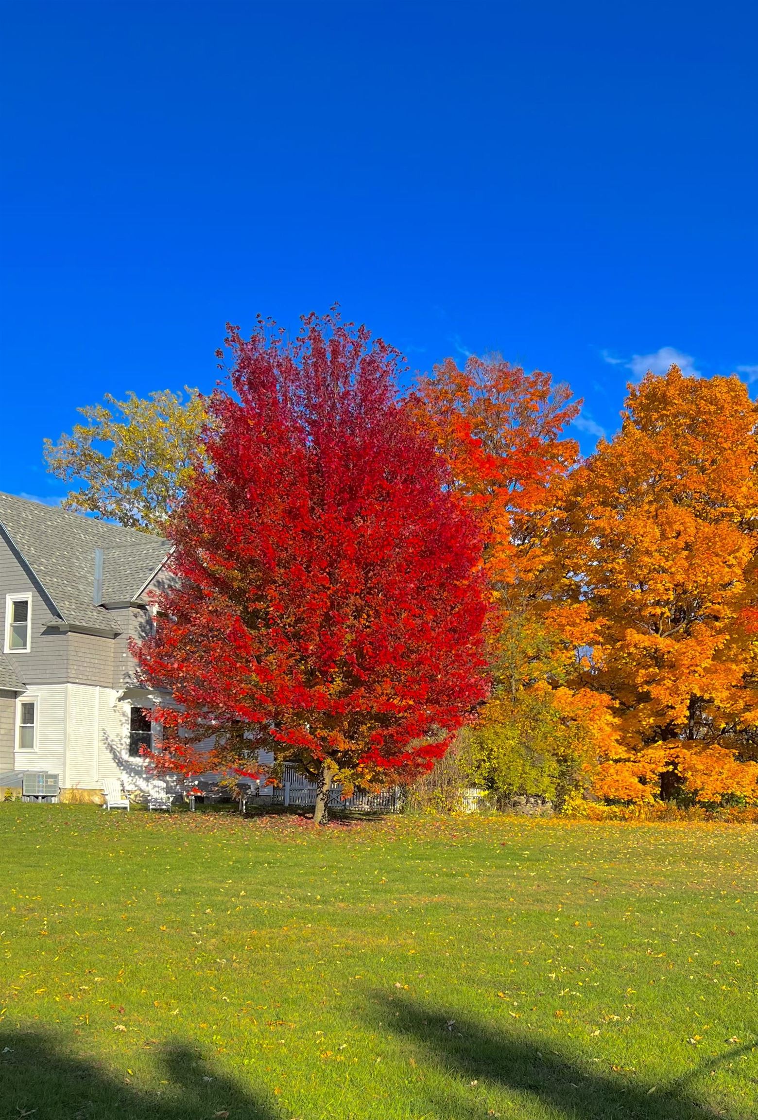 63 Adams School Road Grand Isle, VT 05458 - Photo 56 of 57