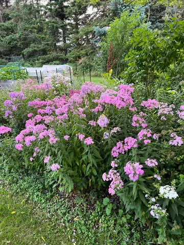 $559,000 | 63 Adams School Road, Grand Isle, VT 05458