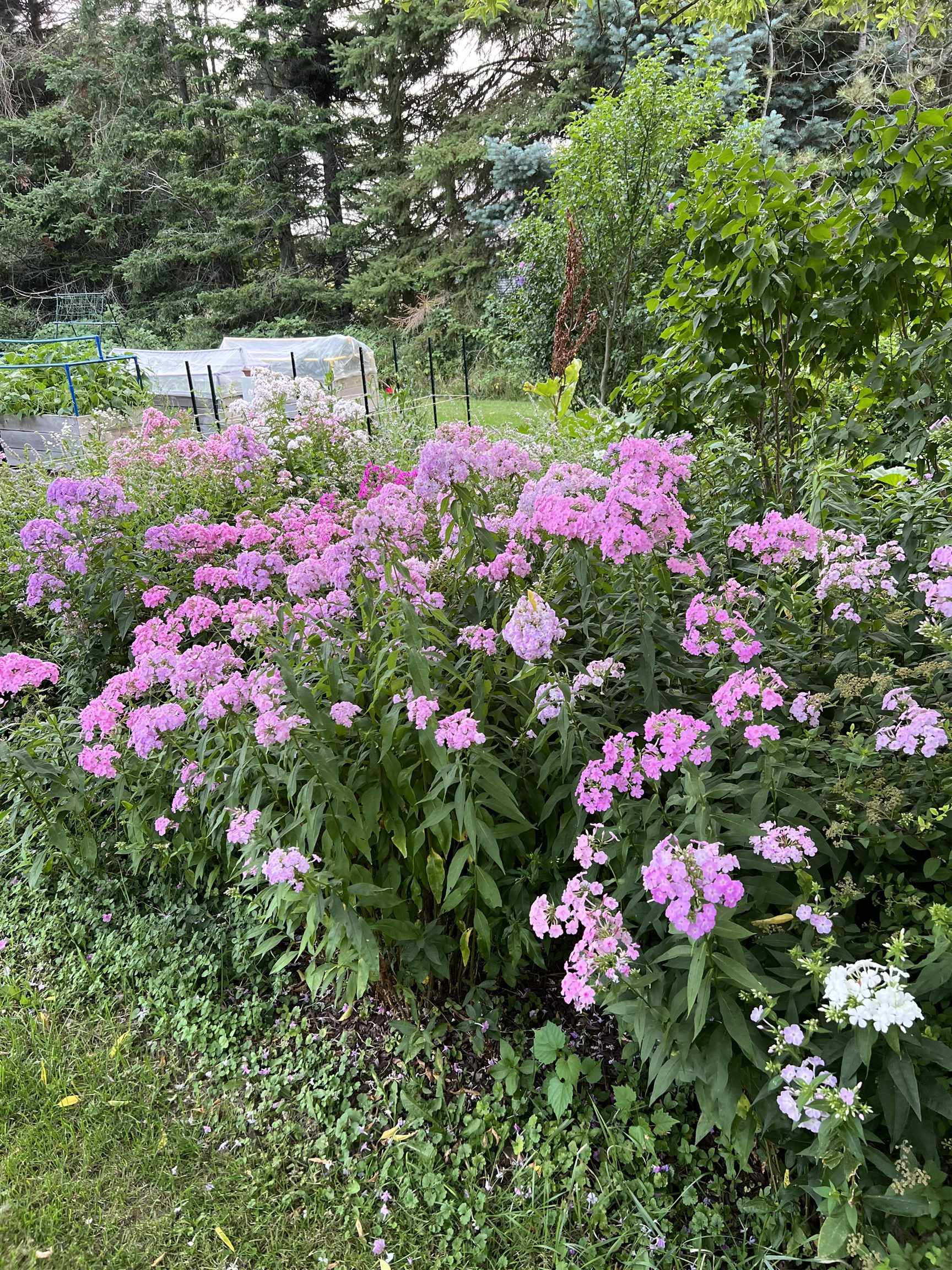 63 Adams School Road Grand Isle, VT 05458 - Photo 57 of 57