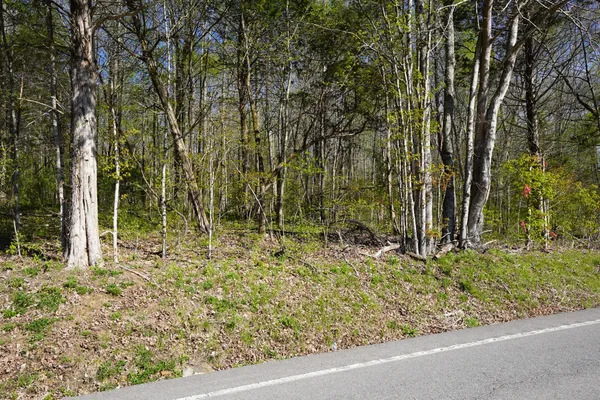 $159,900 | 4205 Hwy 49 Tennessee Ridge, Cumberland City, TN 37050