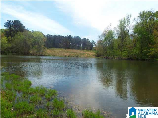 306 Hamm Road Blountsville, AL 35031 - Photo 7 of 28