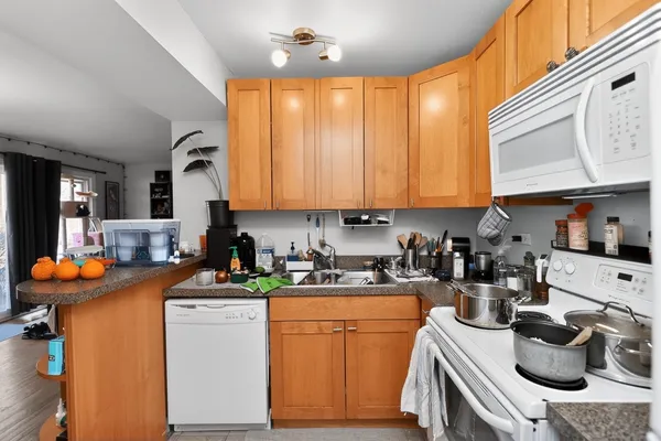 $142,000 | 10111 Old Orchard Court, Unit 102, Skokie, IL 60076