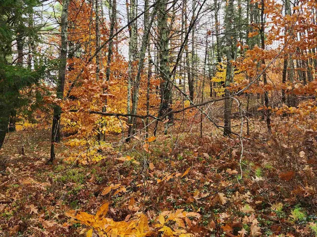 $129,000 | 19 White Mountain Highway, Unit 19, Sanbornville, NH 03872