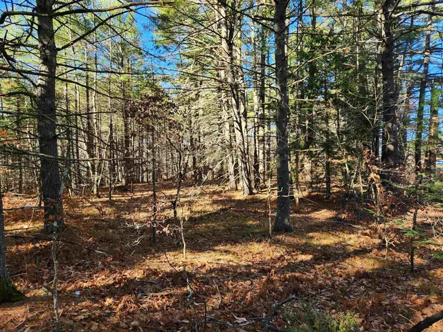 $129,000 | 19 White Mountain Highway, Unit 19, Sanbornville, NH 03872