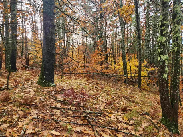 $129,000 | 19 White Mountain Highway, Unit 19, Sanbornville, NH 03872