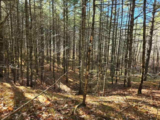 $129,000 | 19 White Mountain Highway, Unit 19, Sanbornville, NH 03872