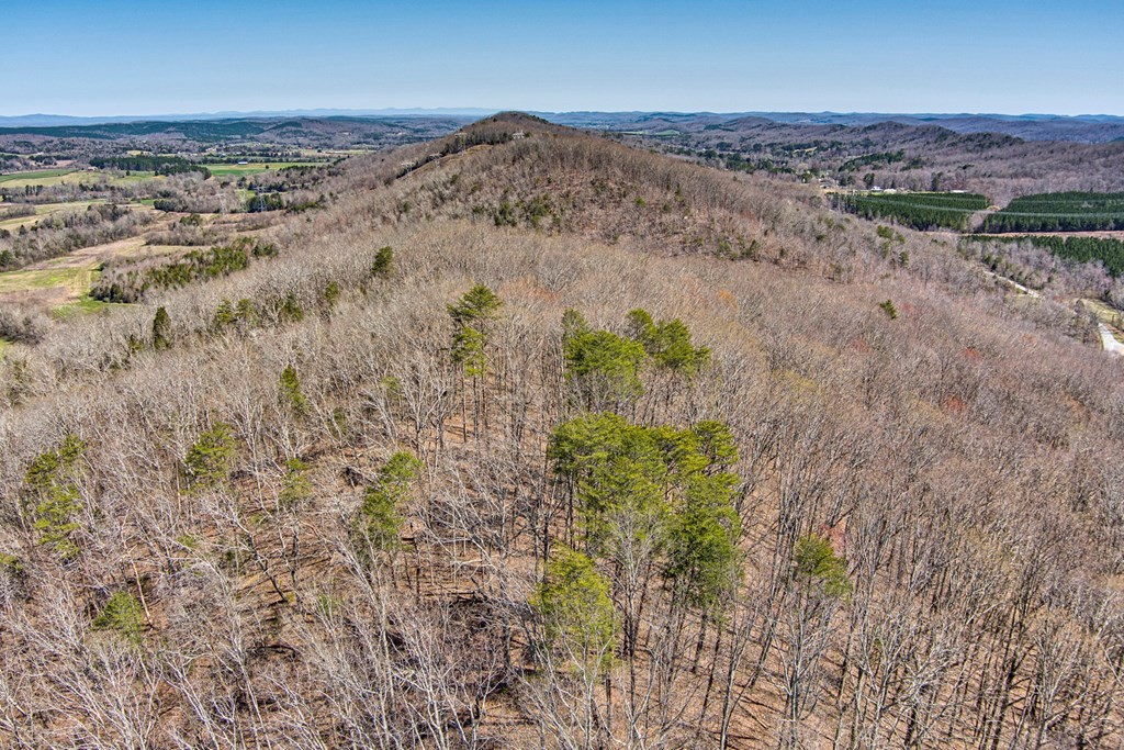 0 Robbies Lane Decatur, TN 37322 - Photo 7 of 10 Gallery Image 7
