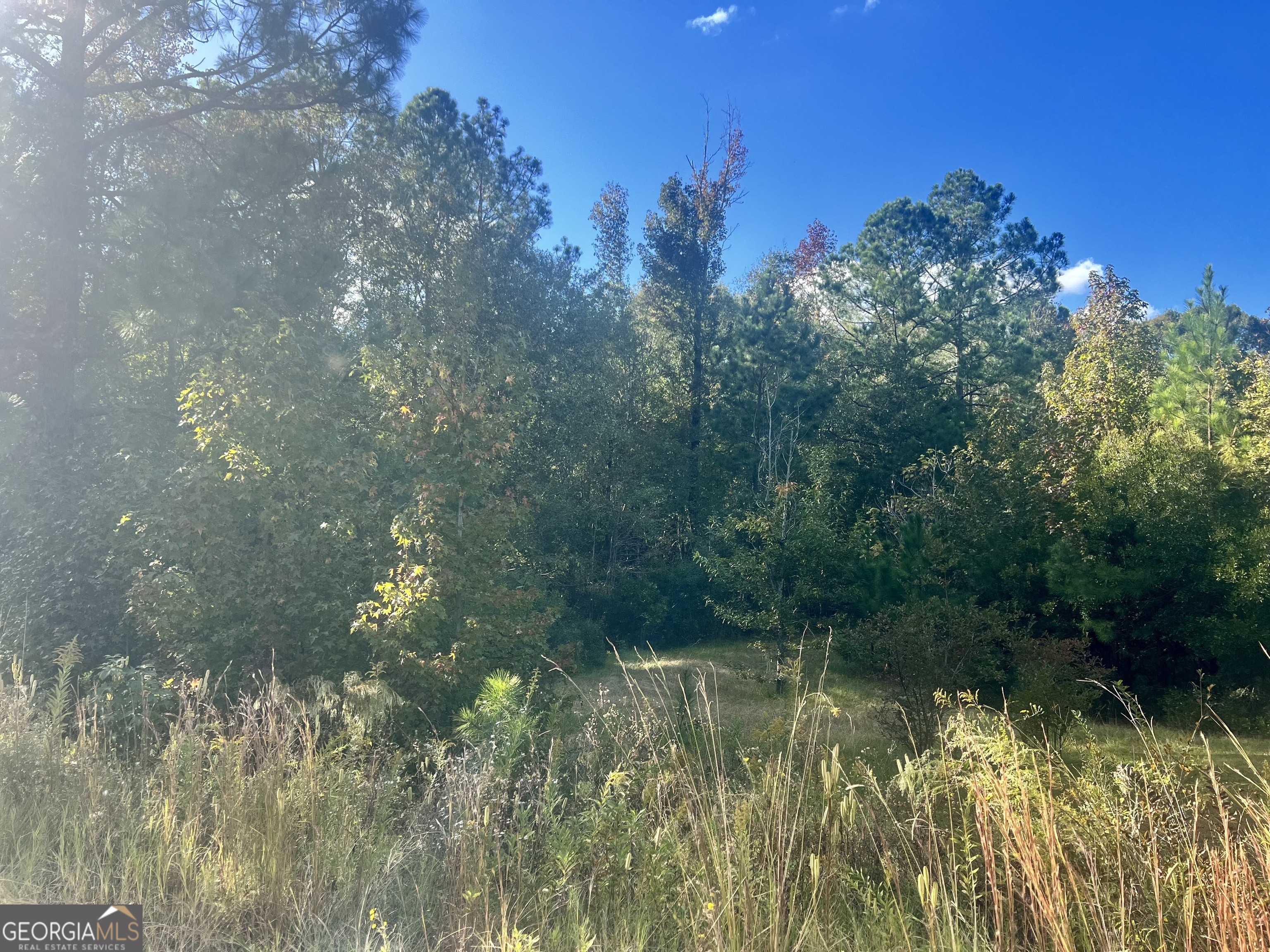 0 Shady Oaks Road Eastman, GA 31023 - Photo 3 of 8