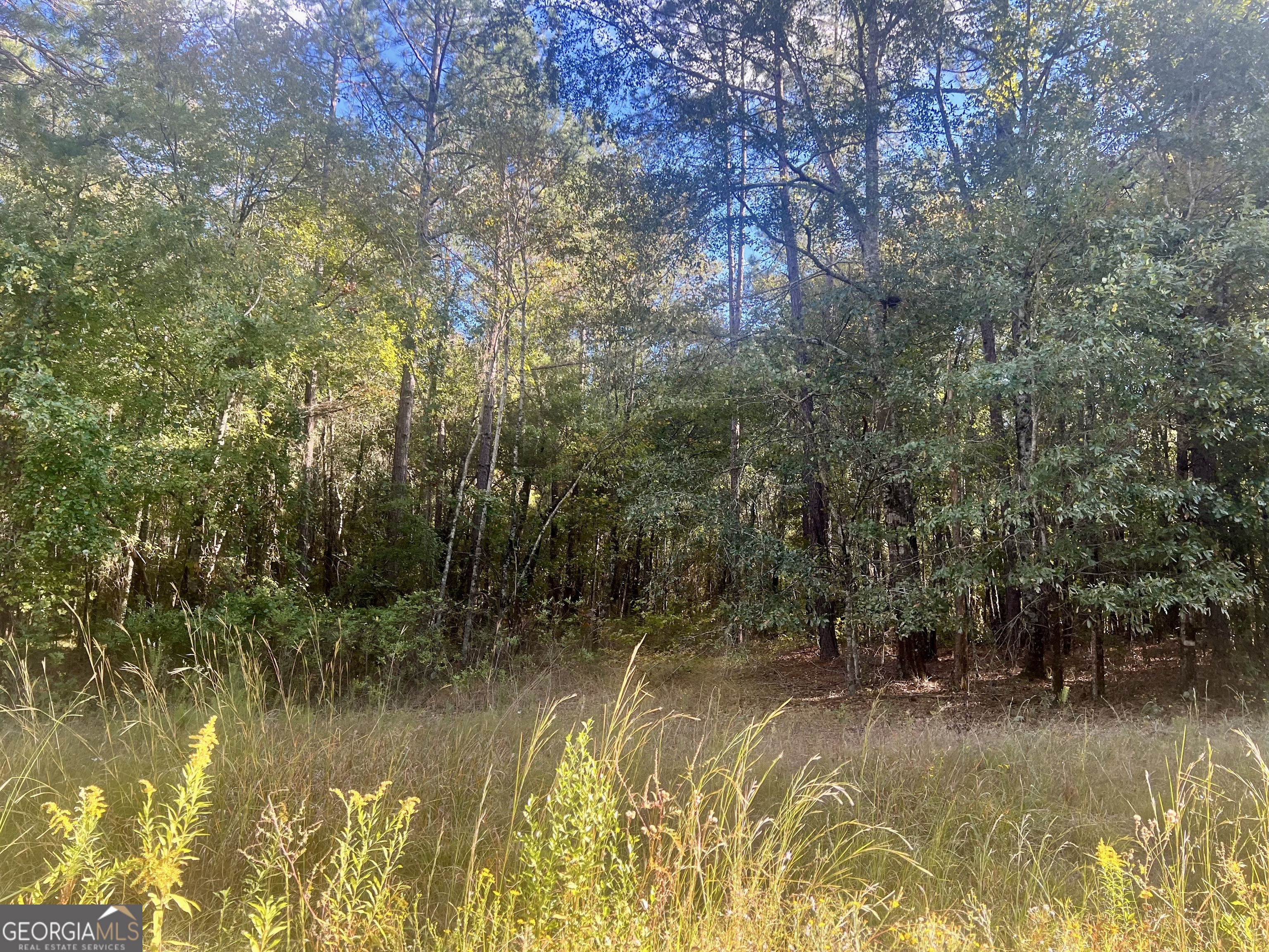 0 Shady Oaks Road Eastman, GA 31023 - Photo 4 of 8