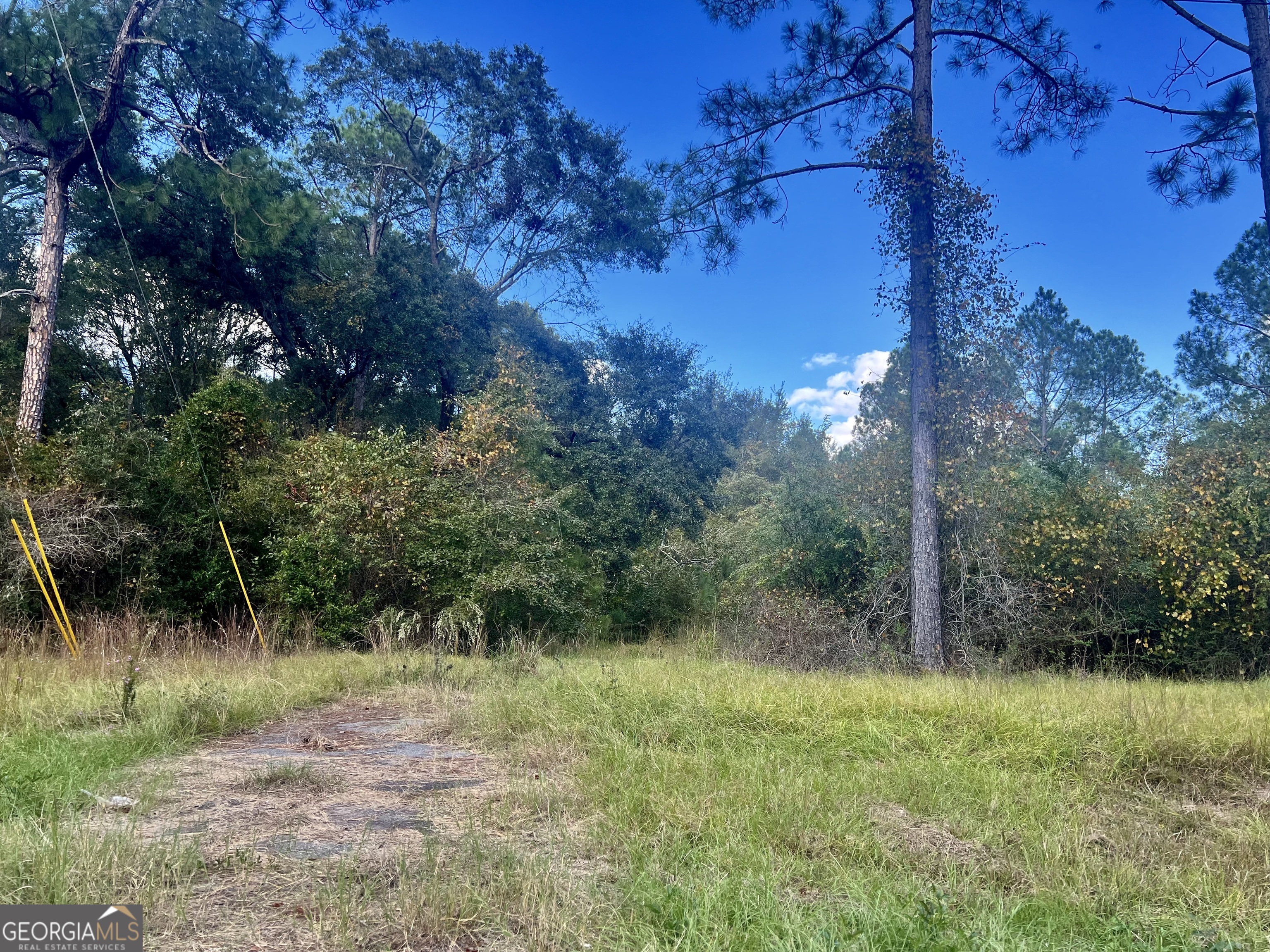 0 Shady Oaks Road Eastman, GA 31023 - Photo 5 of 8