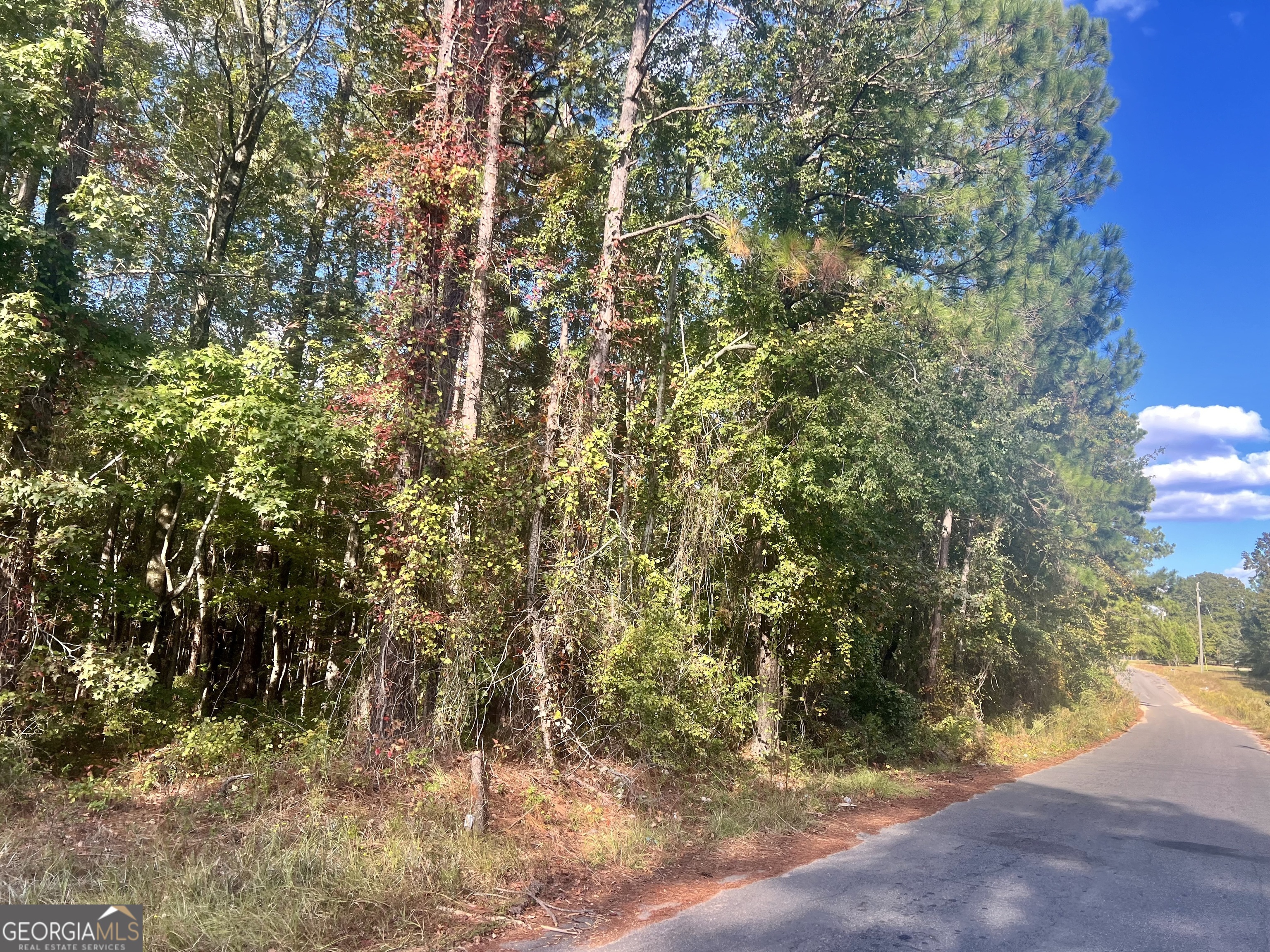 0 Shady Oaks Road Eastman, GA 31023 - Photo 8 of 8