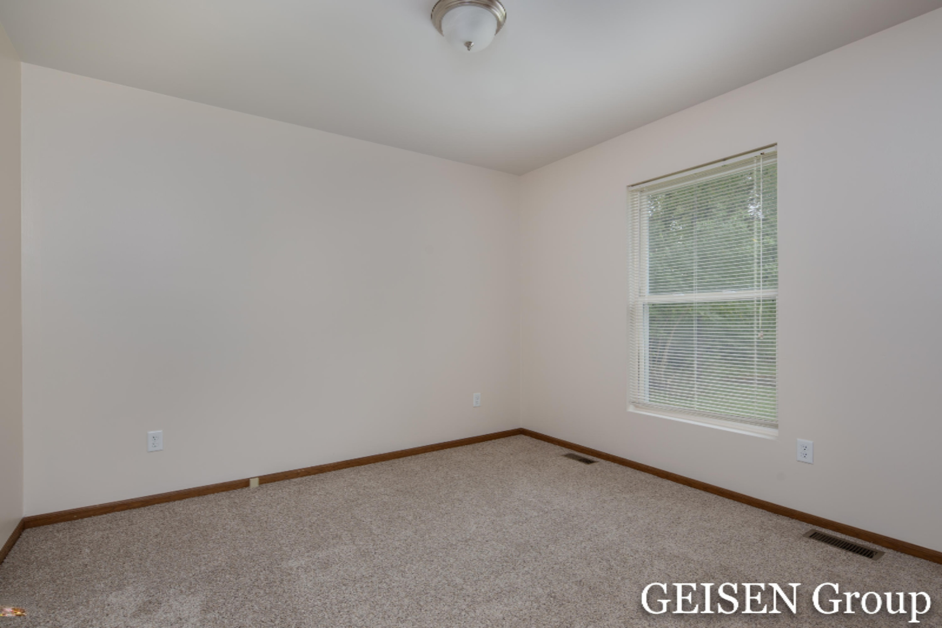 7707 County Farm Road Greenville, MI 48838 - Photo 11 of 20 Geisen Group-County Farm-15