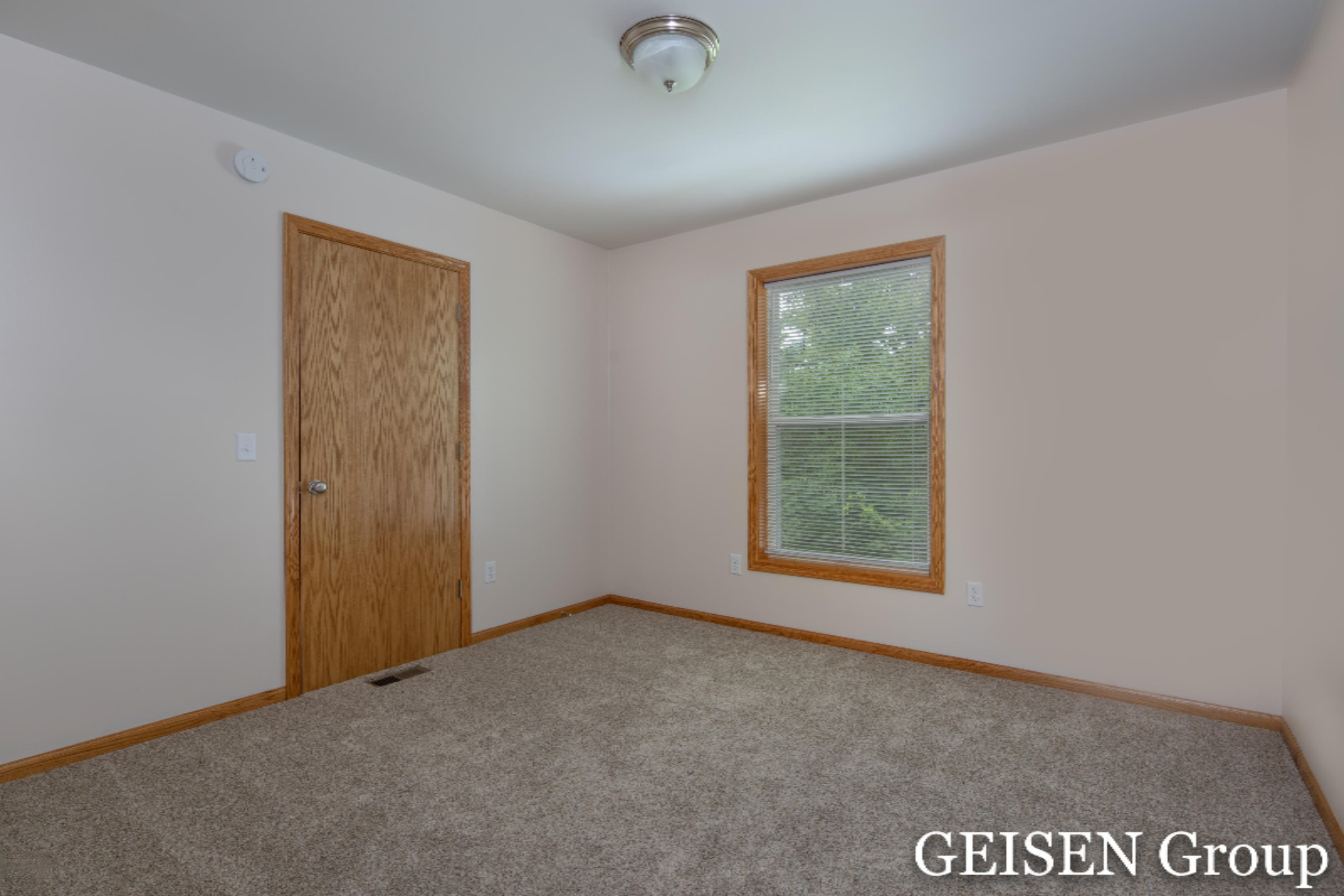 7707 County Farm Road Greenville, MI 48838 - Photo 13 of 20 Geisen Group-County Farm-17