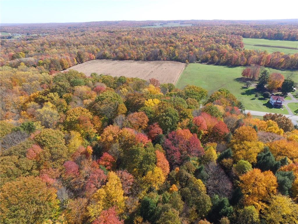 Lot 1 Mercer Road Stoneboro, PA 16153 - Photo 4 of 20 Gallery Image 4