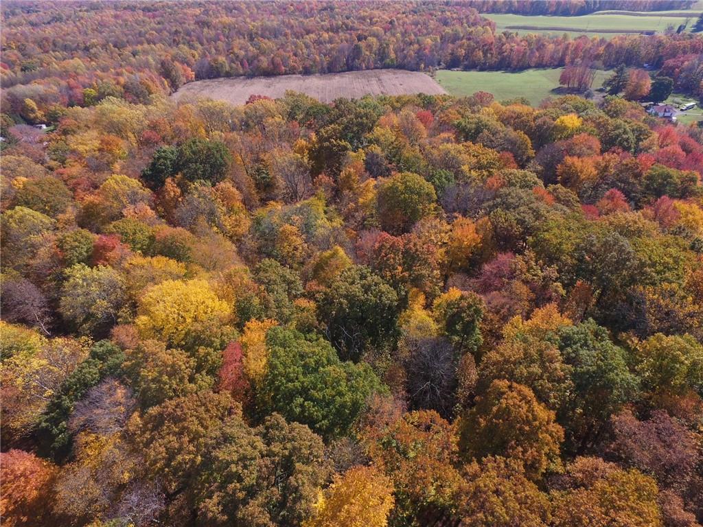Lot 1 Mercer Road Stoneboro, PA 16153 - Photo 6 of 20 Gallery Image 6
