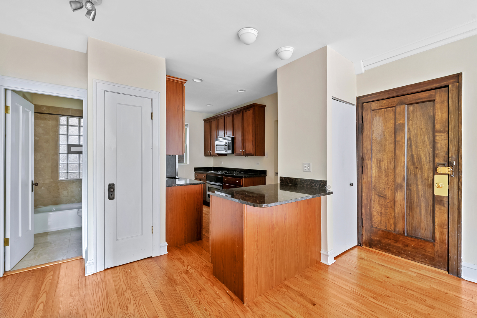 1928 West Addison Street, Unit 1N Chicago, IL 60613 - Photo 9 of 21