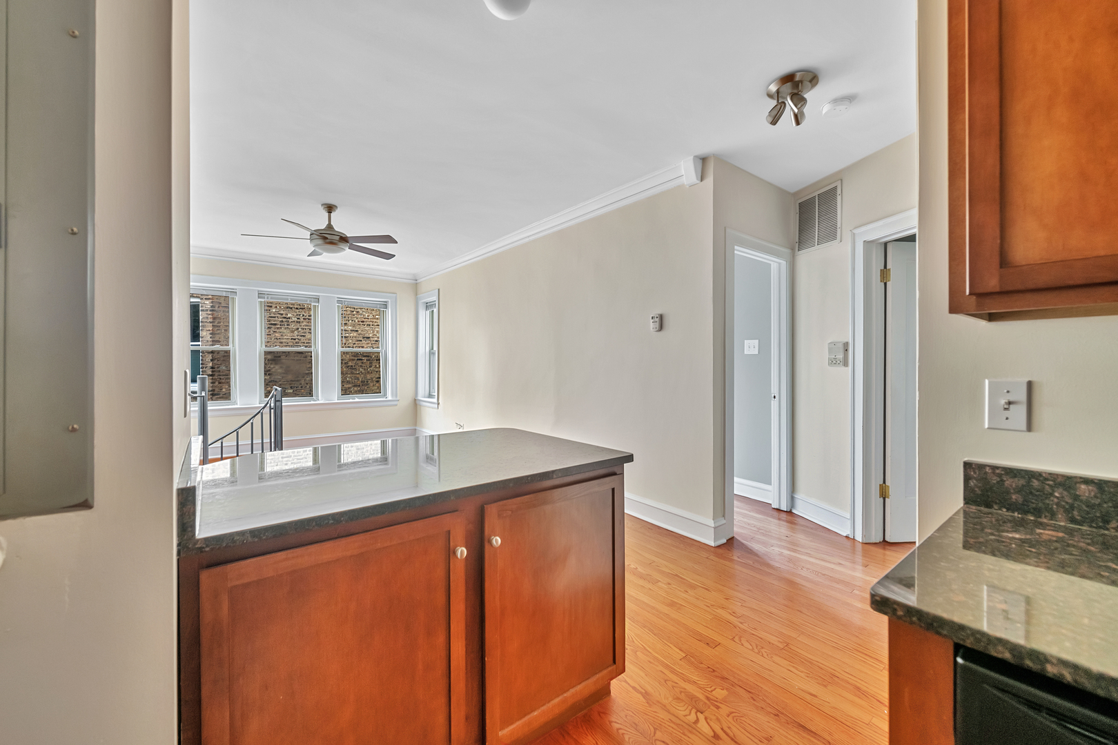 1928 West Addison Street, Unit 1N Chicago, IL 60613 - Photo 10 of 21