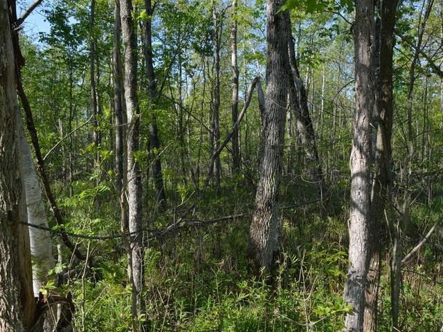 8587 North Littlefield Road Lake, MI 48632 - Photo 4 of 6 1850697-3.JPG