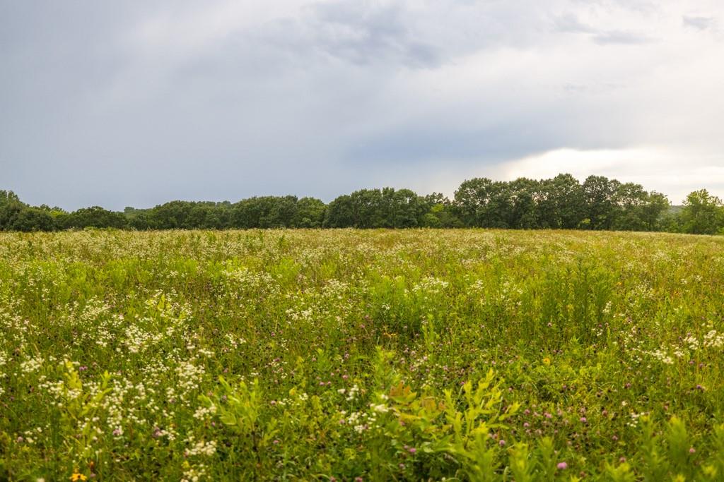 Tbd Norris Road Rayville, MO 64084 - Photo 22 of 35