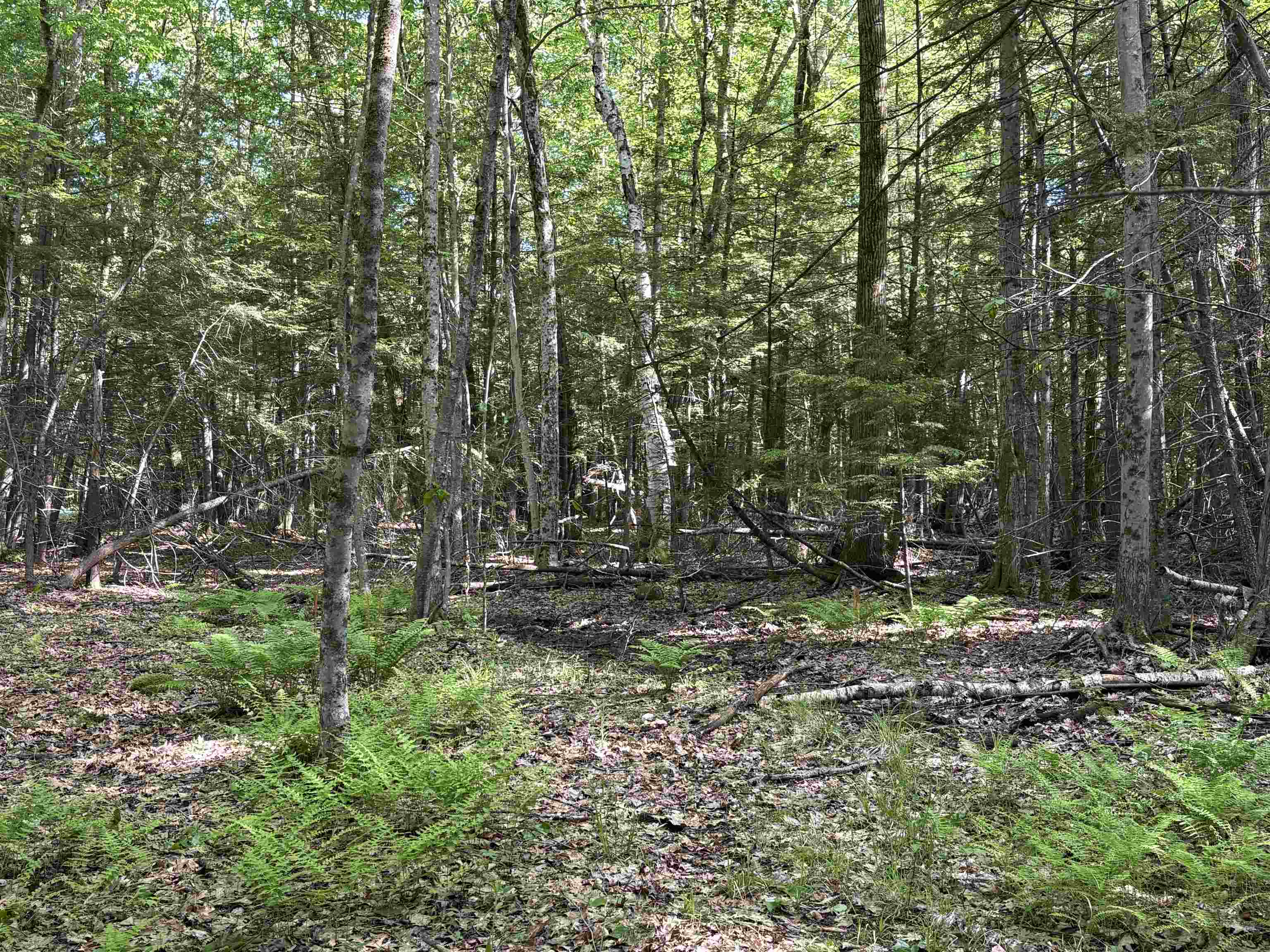 Lot 85 Currier Road Candia, NH 03034 - Photo 7 of 14