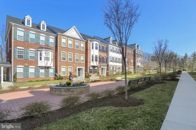 a view of a big yard with plants and large trees
