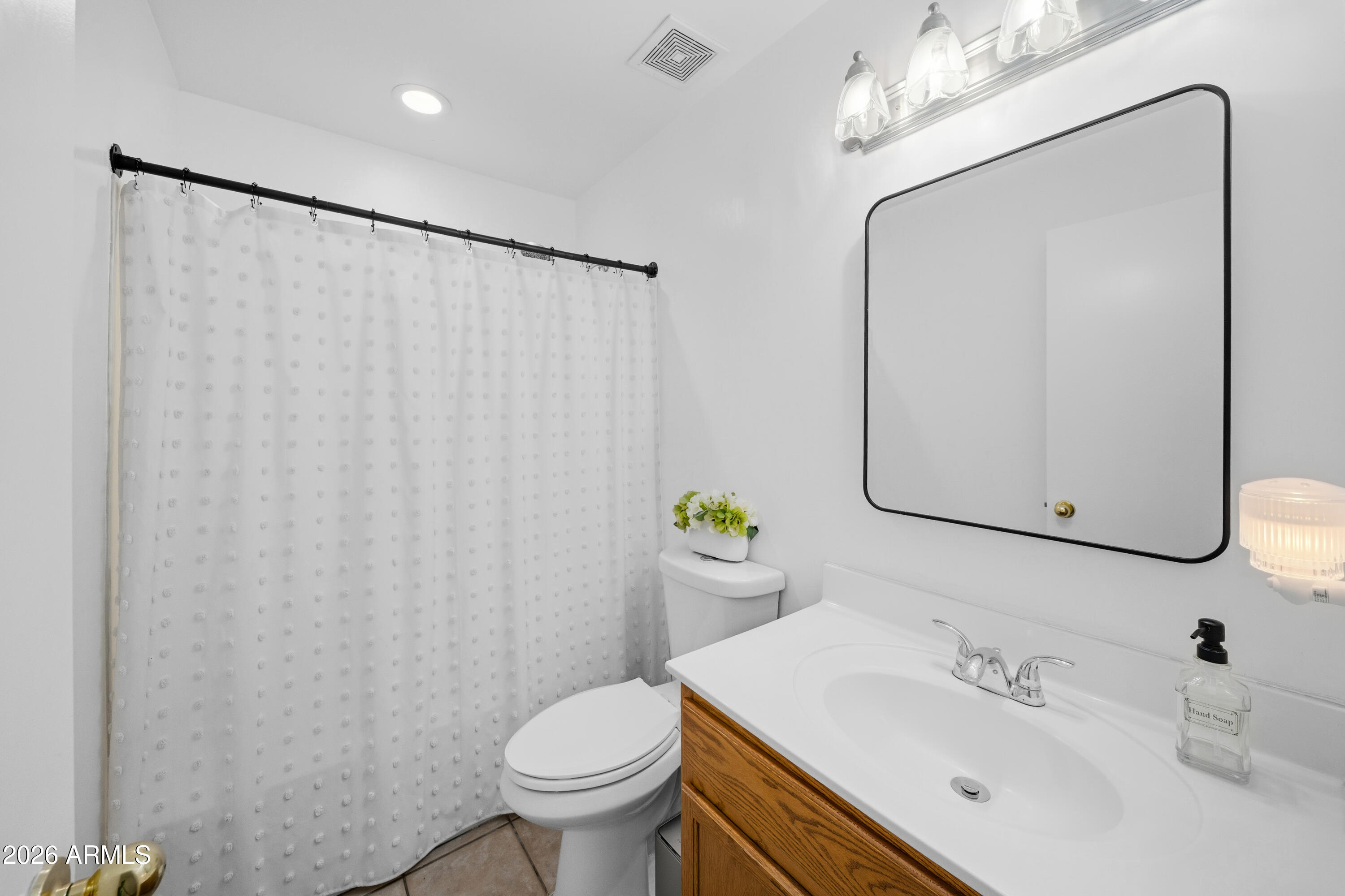 10809 West Joblanca Road Avondale, AZ 85323 - Photo 22 of 35 DSC09788