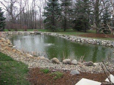 56187 Dequindre Road Rochester, MI 48306 - Photo 7 of 7 Pond