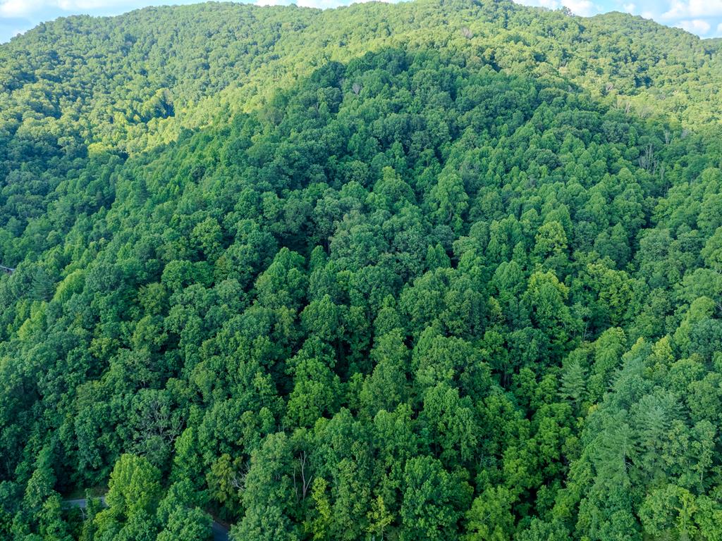 Tbd Dry Fork Road North Tazewell, VA 24630 - Photo 6 of 6 Gallery Image 6