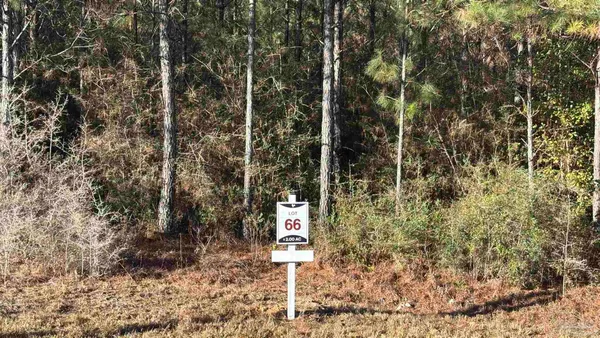 $99,900 | Lot 66 Straw Bridge Road, Jay, FL 32565