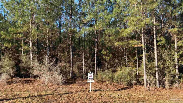 $99,900 | Lot 66 Straw Bridge Road, Jay, FL 32565