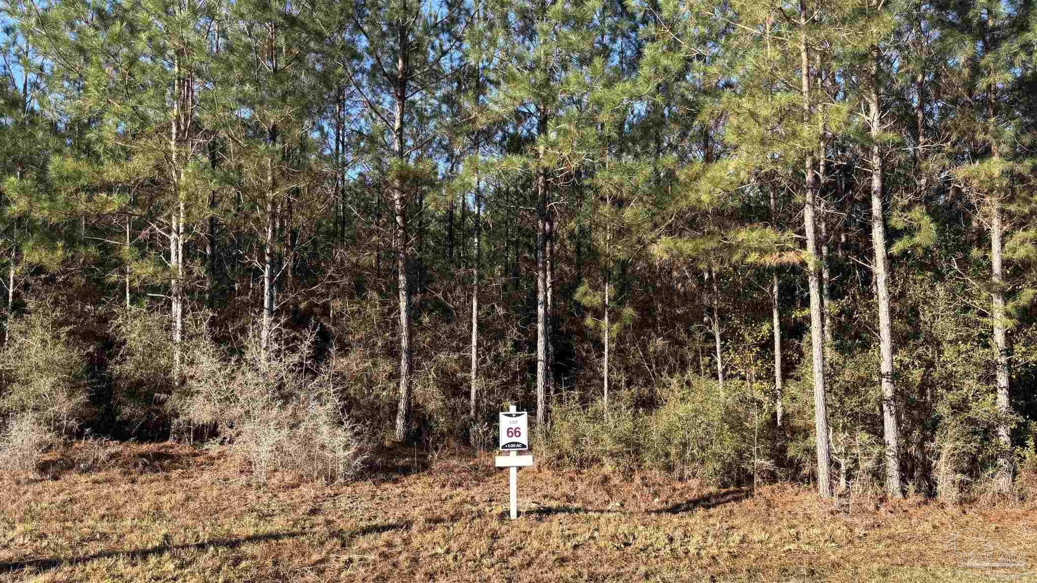 Lot 66 Straw Bridge Road Jay, FL 32565 - Photo 2 of 6