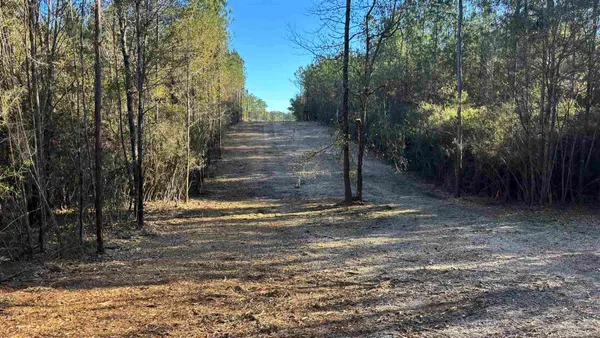$99,900 | Lot 66 Straw Bridge Road, Jay, FL 32565