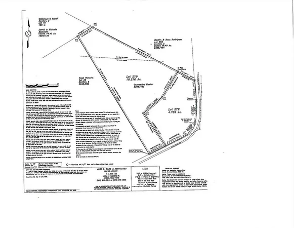 a black and white photo of a painting