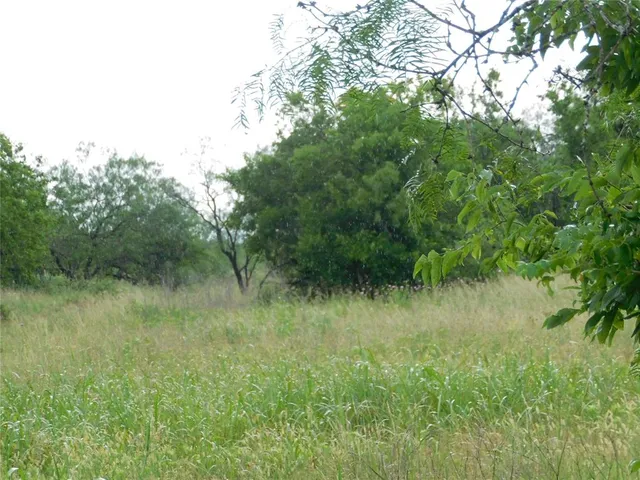 a view of a lush green space