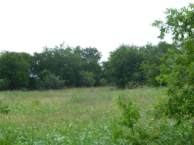 a view of a grassy field with trees in the background