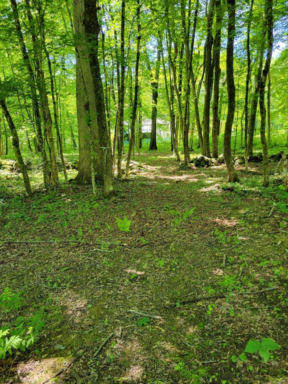 Lot 7 Daniels Road Dudley, MA 01571 - Photo 2 of 2