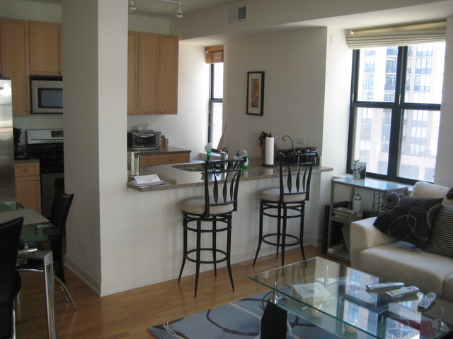 451 West Huron Street, Unit 1012 Chicago, IL 60654 - Photo 3 of 11