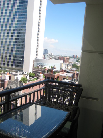 451 West Huron Street, Unit 1012 Chicago, IL 60654 - Photo 6 of 11