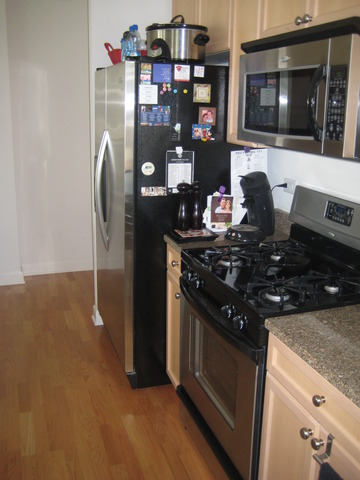 451 West Huron Street, Unit 1012 Chicago, IL 60654 - Photo 7 of 11