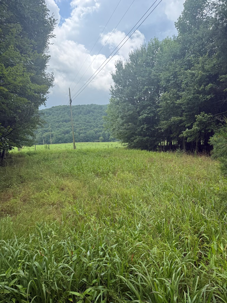 Tbd Pine Log Church Road Brasstown, NC 28902 - Photo 21 of 24