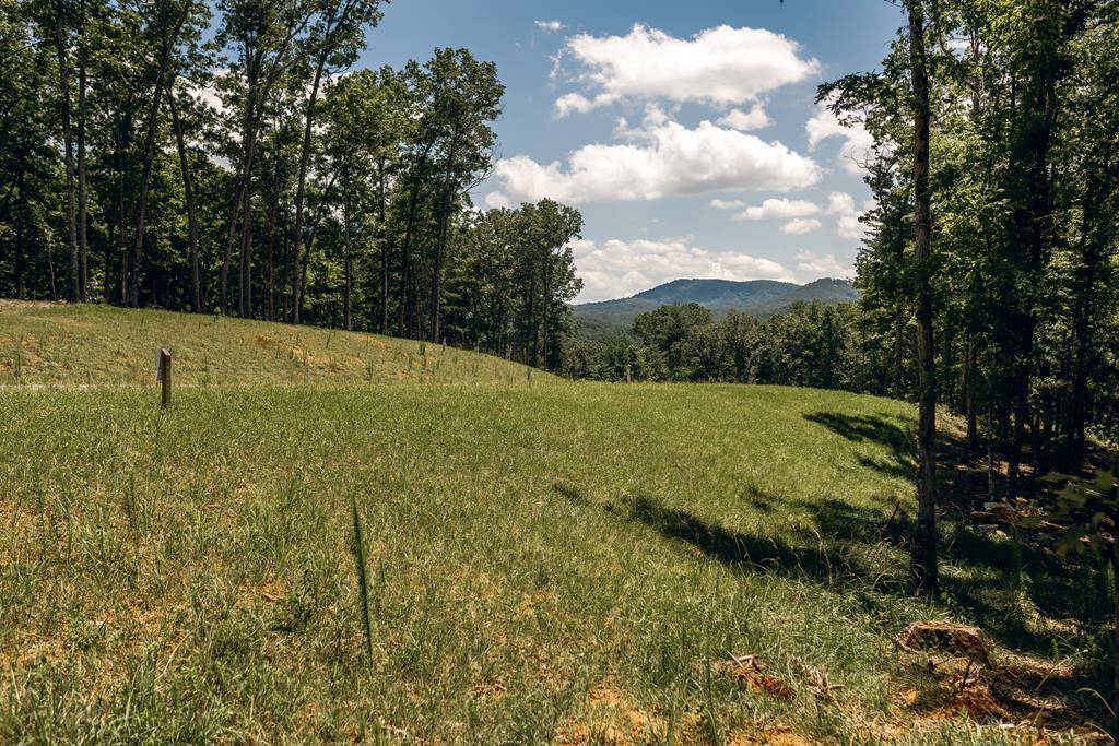 Lot 133 Ridges Of Blue Ridge Morganton, GA 30560 - Photo 1 of 36 a view of a green yard with large trees