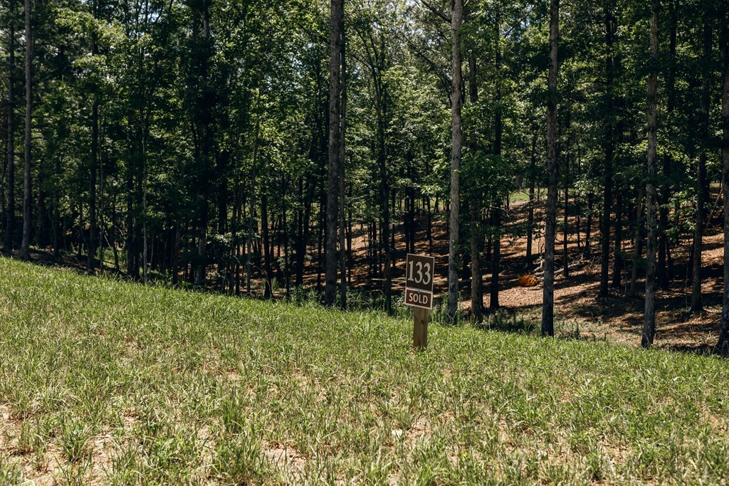 Lot 133 Ridges Of Blue Ridge Morganton, GA 30560 - Photo 12 of 36 a view of park with trees