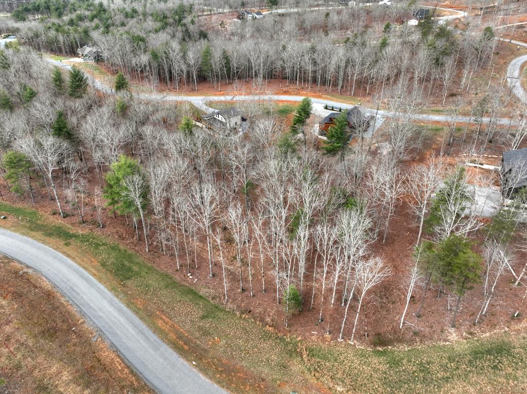 Lot 133 Ridges Of Blue Ridge Morganton, GA 30560 - Photo 17 of 36 a view of a yard with large tree