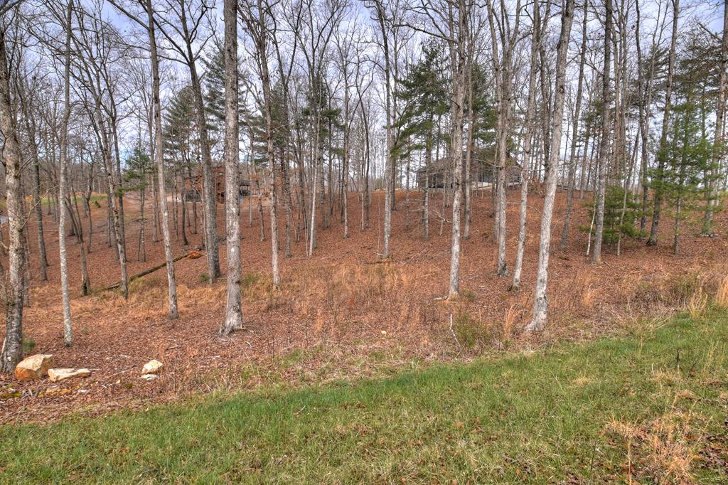 Lot 133 Ridges Of Blue Ridge Morganton, GA 30560 - Photo 18 of 36 a backyard of a house with lots of green space