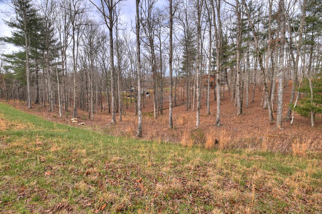 Lot 133 Ridges Of Blue Ridge Morganton, GA 30560 - Photo 19 of 36 a view of garden