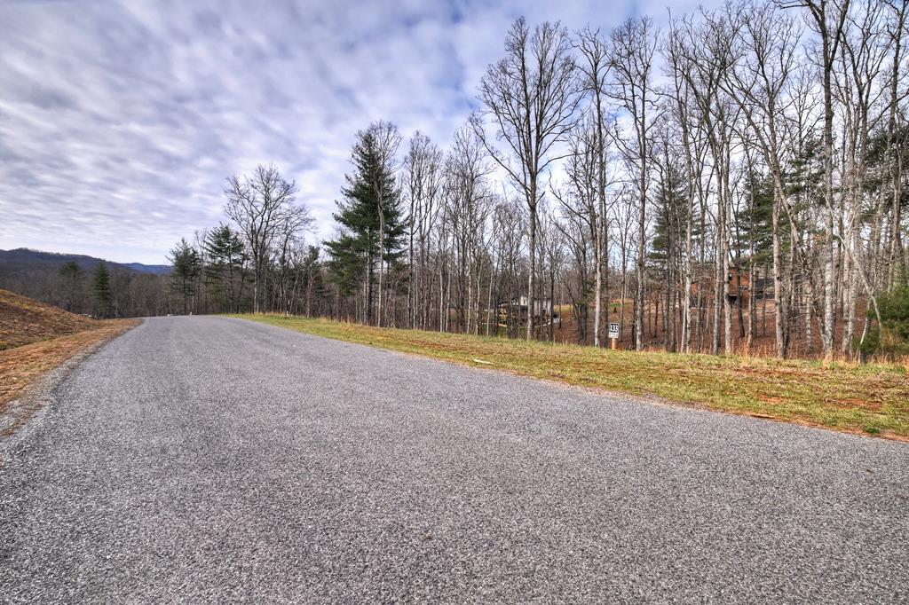 Lot 133 Ridges Of Blue Ridge Morganton, GA 30560 - Photo 20 of 36 a view of a field with trees in the background
