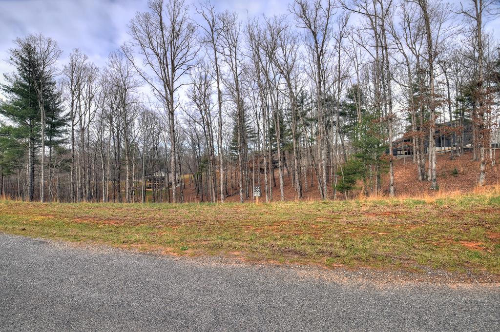 Lot 133 Ridges Of Blue Ridge Morganton, GA 30560 - Photo 21 of 36 a big yard with trees in front of it